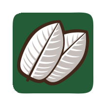 KRATOM